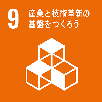 SDGs9